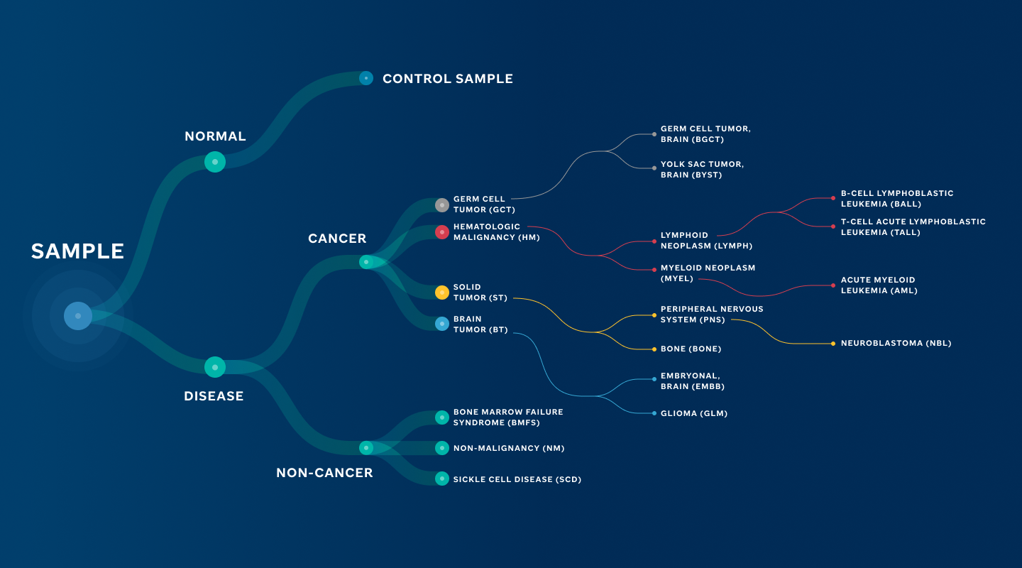 ontology