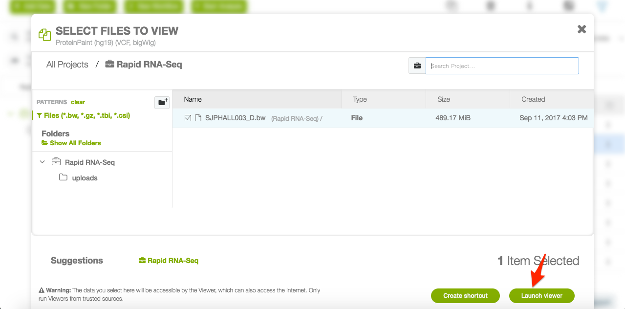 bigwig viewer startup
