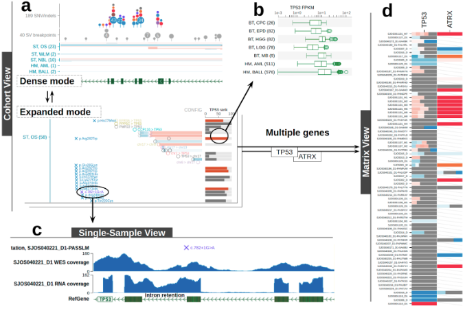 genome paint views